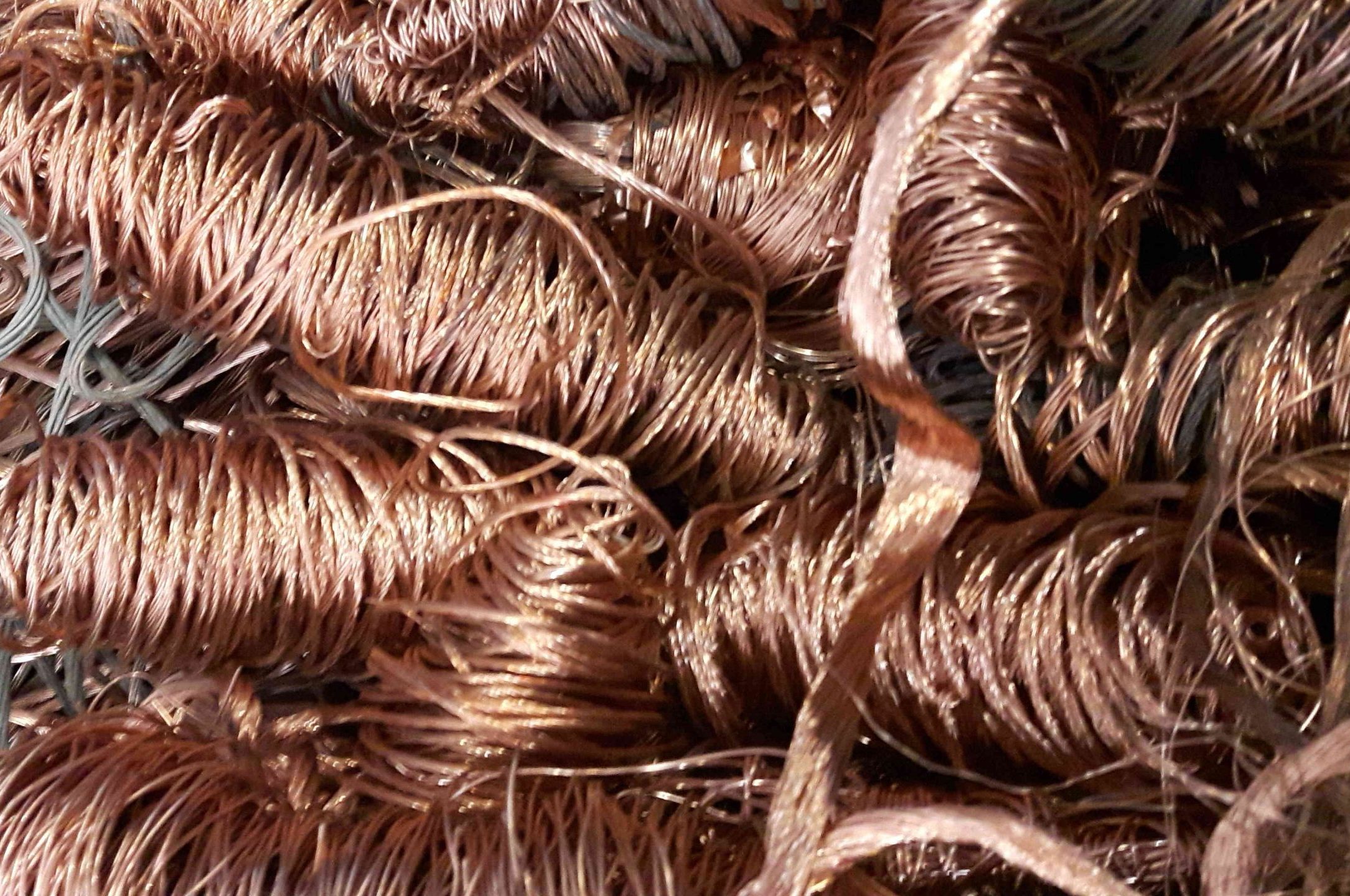 kupari